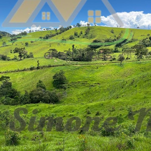 Simone Daniela Aparecida Santos Magalhães