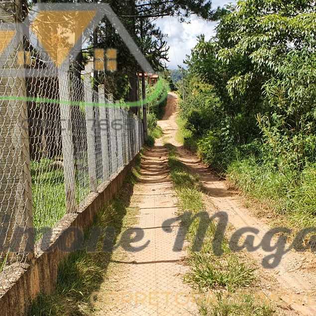 Simone Daniela Aparecida Santos Magalhães