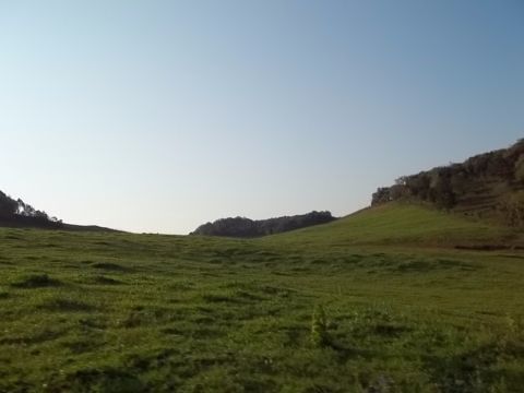 Area Rural, Campo para soja e criação