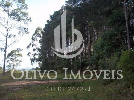 Area Rural, Sitio
