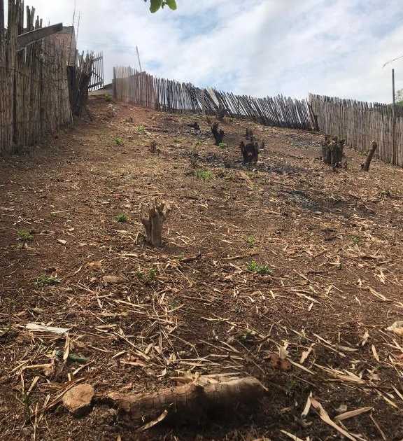 Foto do anúncio: Lote/Terreno/Área Lote / Terreno Urbano, Rebourgeon - Venda: