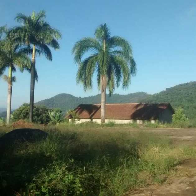 Foto do anúncio: SÍTIOS 3 dormitórios, Trigal - Venda: