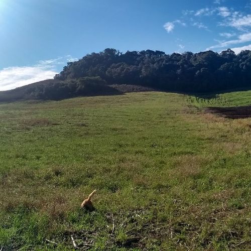 Área Rural, Área de terra