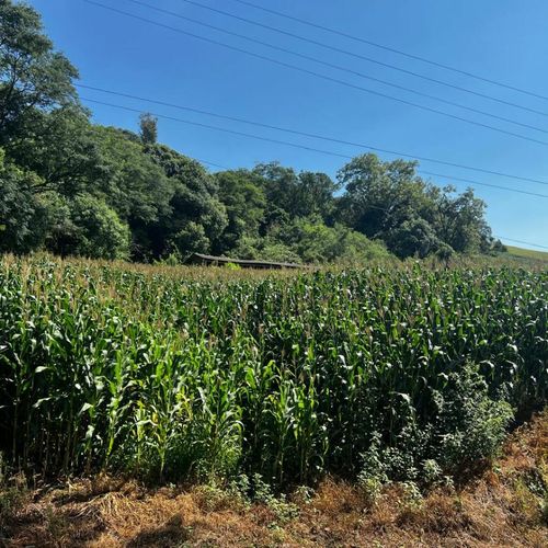 Área Rural, Área de terra