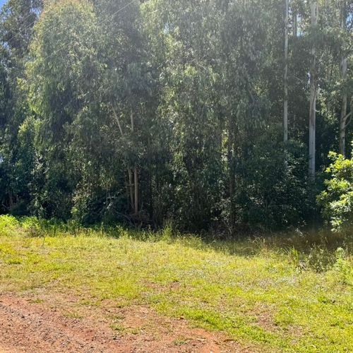 Área Rural, Área de terra