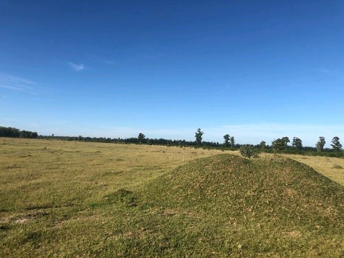 Fazenda, Fazenda Arroz Soja ou Pecuária