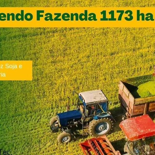 Fazenda, Fazenda Arroz Soja ou Pecuária