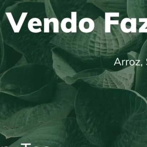 Fazenda, Fazenda Arroz Soja ou Pecuária