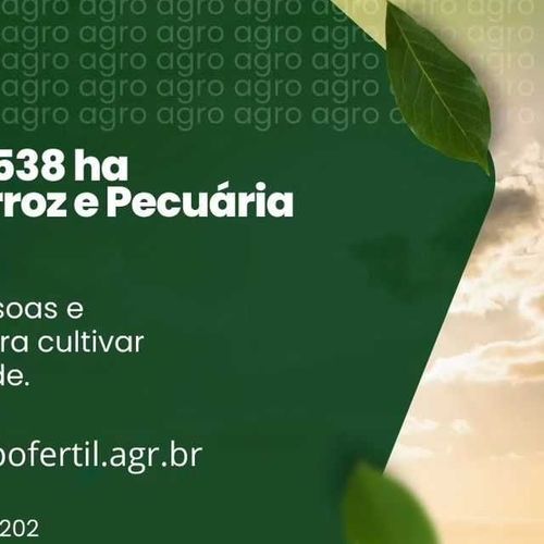 Fazenda, Fazenda Arroz Soja ou Pecuária