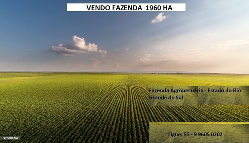 Fazenda, Fazenda Arroz Soja ou Pecuária