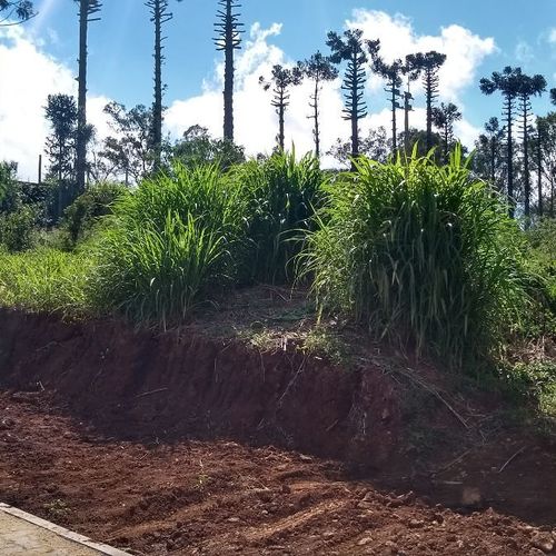 Terreno, Urbano