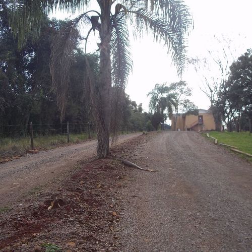 Área Rural, Área de terra