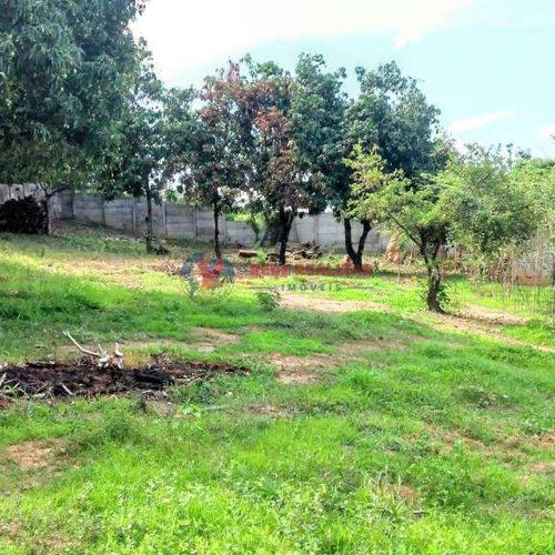 Lote Urbano, Plano