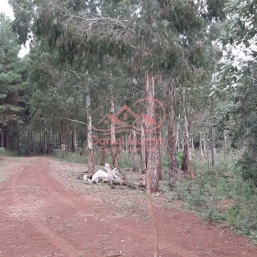 Area Rural, Área de terra