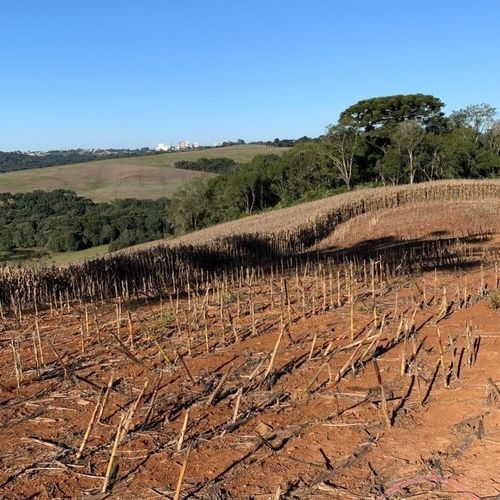 Area Rural, Área de terra