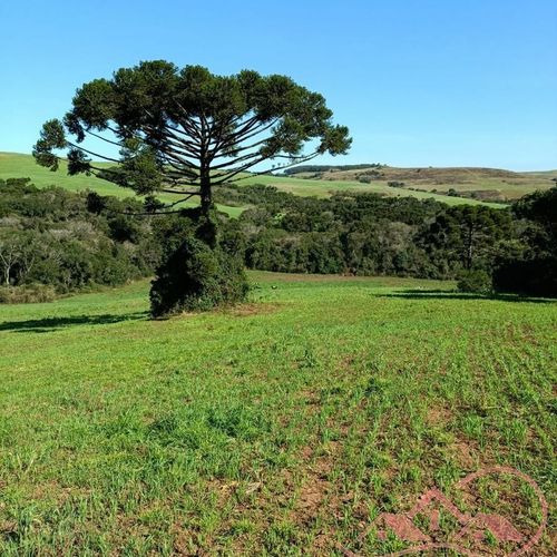 Area Rural, Área de terra