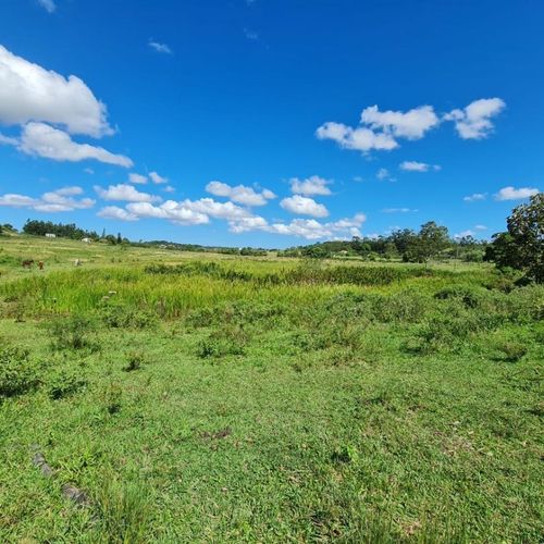 ÁREA RURAL., FAZENDA