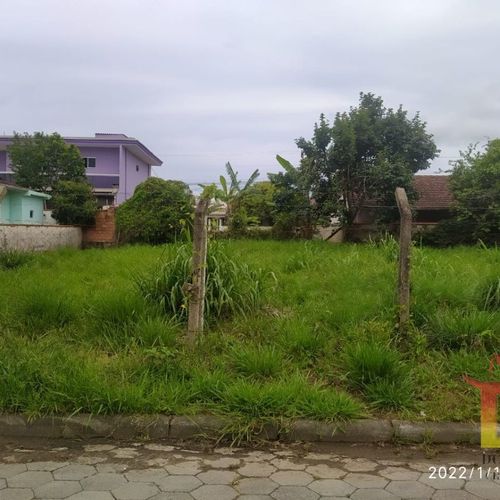 Terreno, Litoral