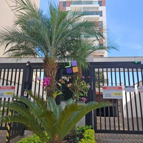 Apartamentos, 2 Dormitórios