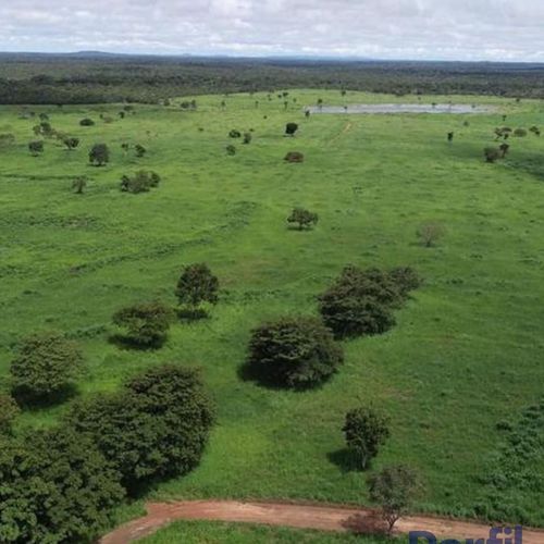 Área Rural, Fazenda