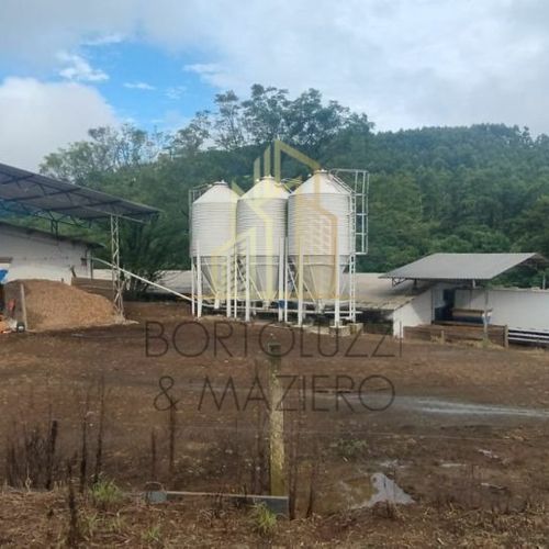 AVIÁRIOS, AREA TERRA