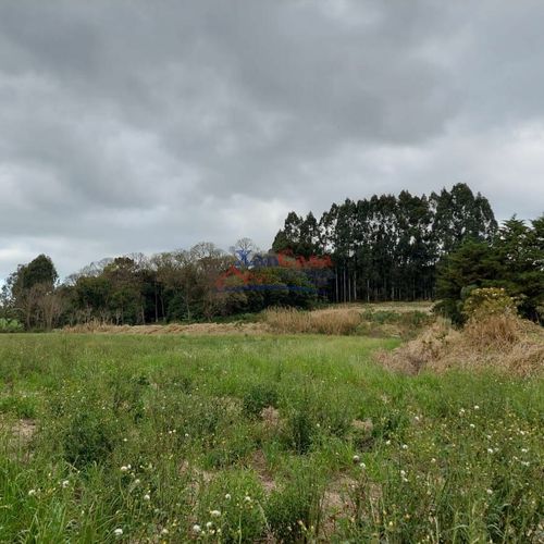 Terreno, Urbano