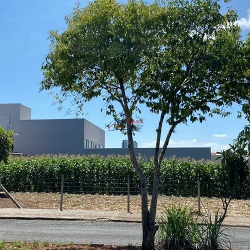 TERRENOS COM EXCLUSIVIDADE, PARA LOCAÇÃO