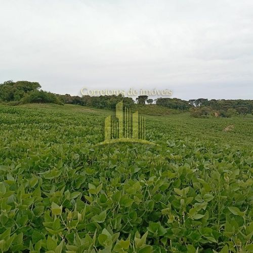 Área Rural, Interior