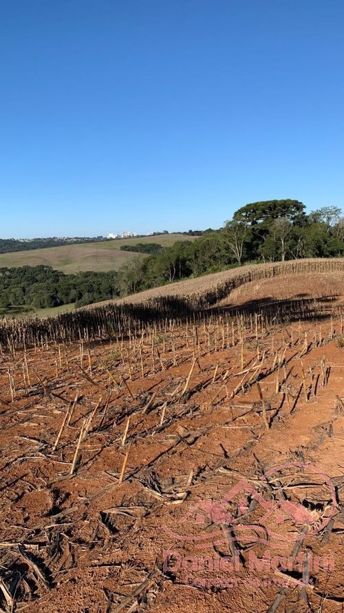 Area Rural, Área de terra