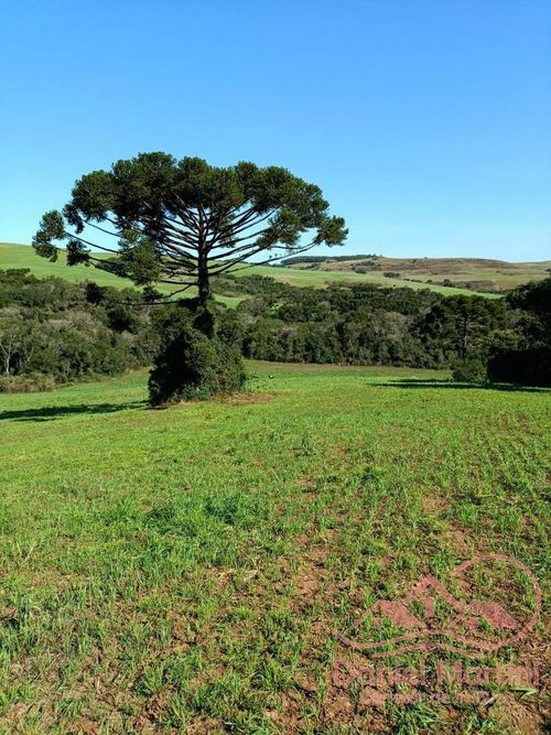 Area Rural, Área de terra