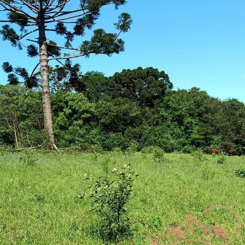 Area Rural, Área de terra