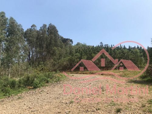 Area Rural, Área de terra