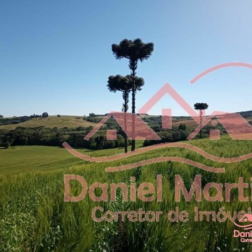 Area Rural, Área de terra