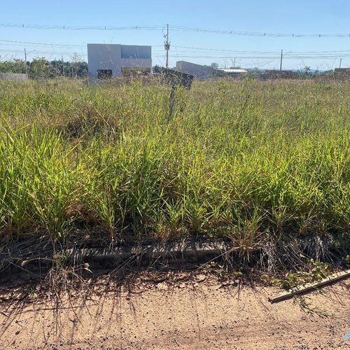 LOTE URBANO, TERRENO