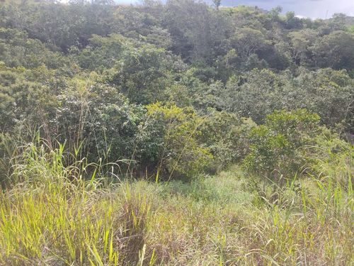 TERRENO EM CONDOMÍNIO, TERRENO/LOTE