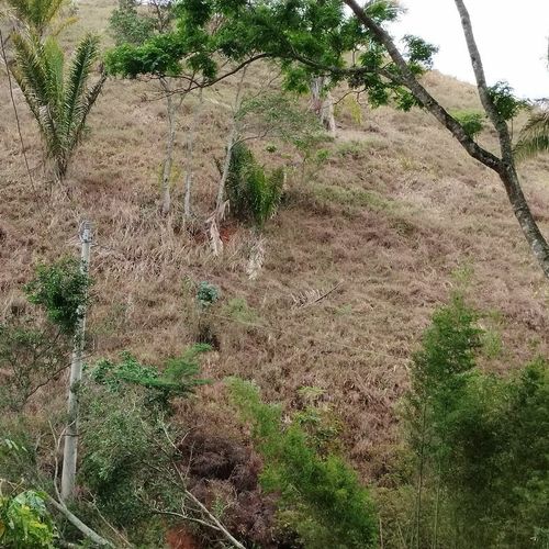 TERRENO, TERRENO