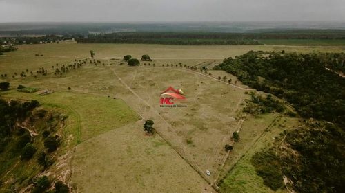 FAZENDA, FAZENDA