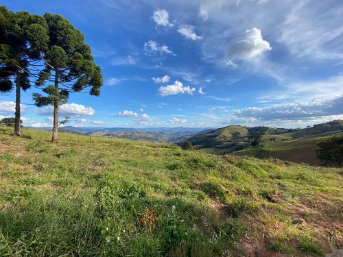 Terreno, Urbano