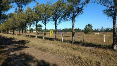 Terreno, Litoraneo
