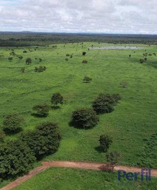 Área Rural, Fazenda