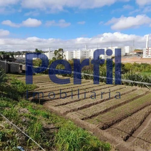 Área Rural, Chácara