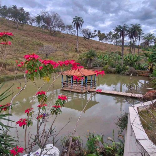 Sitio, Com Rio/Nascente
