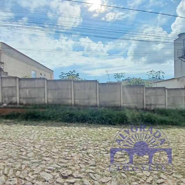 Vinicius Alves Quintao