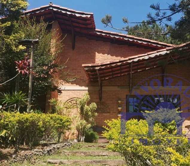 Vinicius Alves Quintao