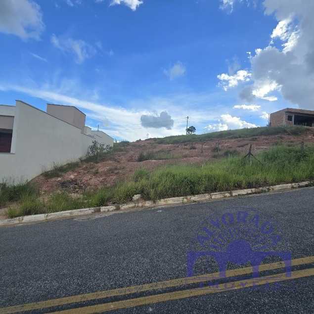 Vinicius Alves Quintao