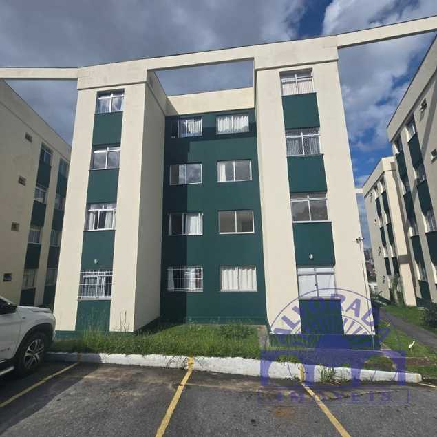 Vinicius Alves Quintao