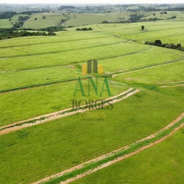 Borges & San Martin Negócios e Assessoria Imobiliárias