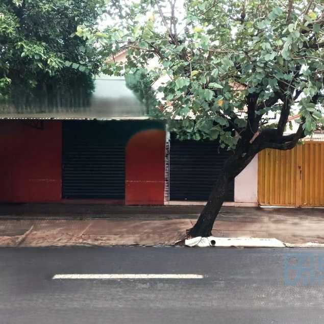 ANDRE LUIZ FELIPE E FILHOS LTDA