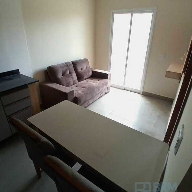 ANDRE LUIZ FELIPE E FILHOS LTDA