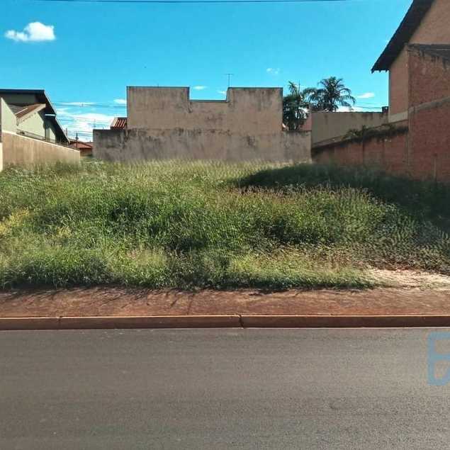 ANDRE LUIZ FELIPE E FILHOS LTDA